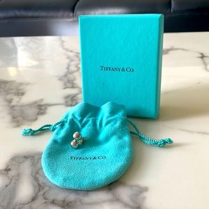 Tiffany & Co. Round Silver Earrings with Bag and Box